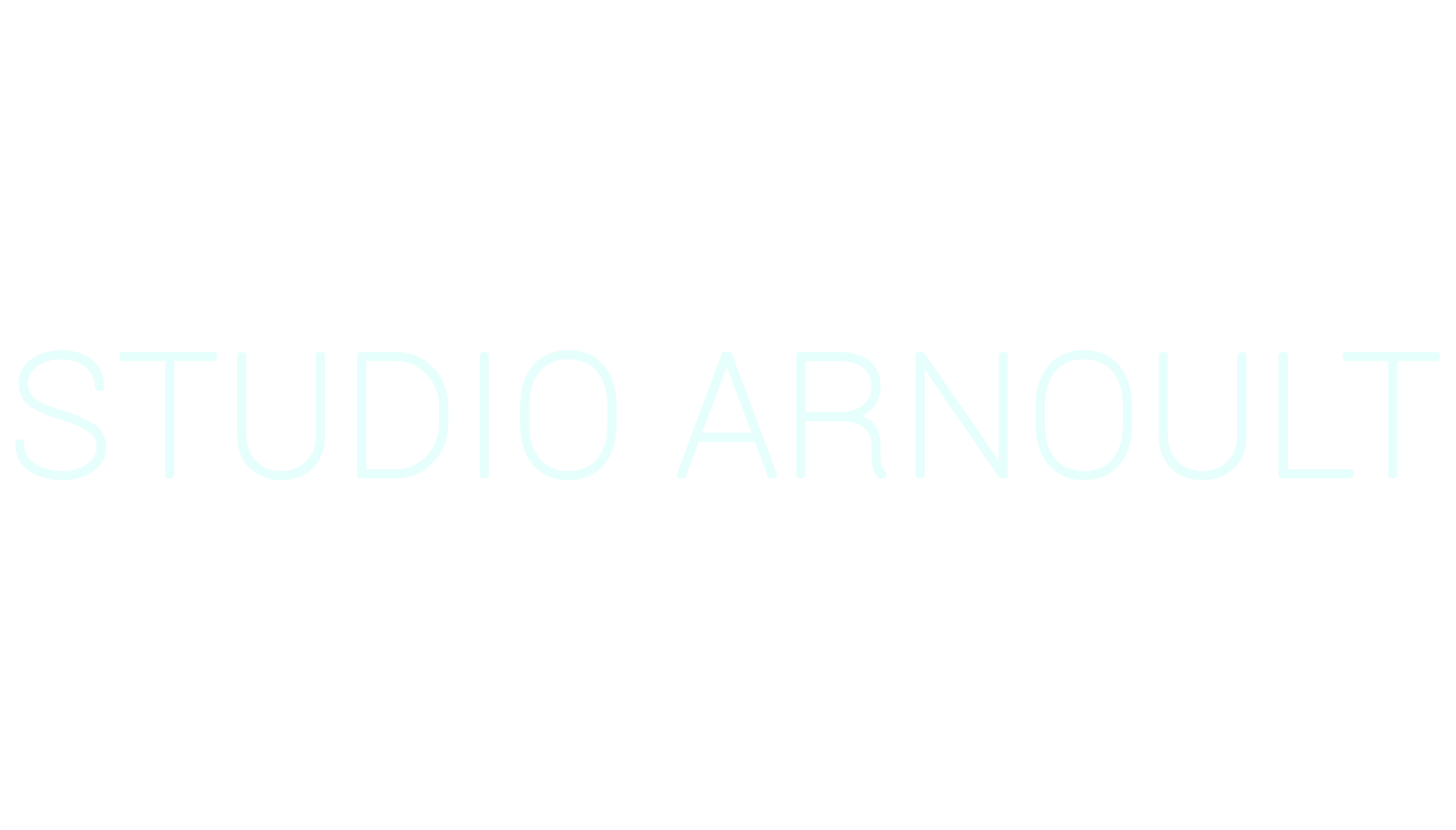 STUDIO ARNOULT